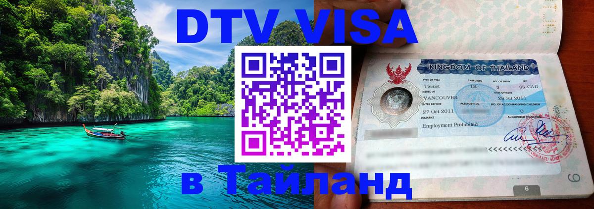 Сколько стоит DTV виза — актуальные цены, оформление даже без документов - Благовещенск 